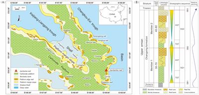 Sequence stratigraphic analysis of the late Permian Changhsingian platform marginal reef, Western Hubei, South China